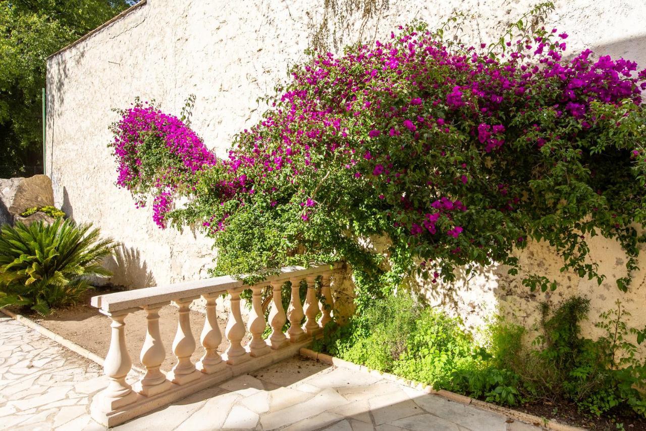 Cannes Villa Simone ภายนอก รูปภาพ